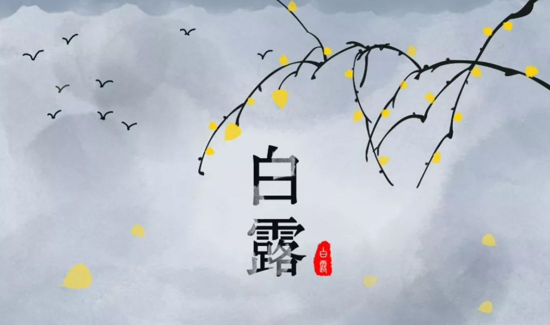 做爰丰满少妇1313